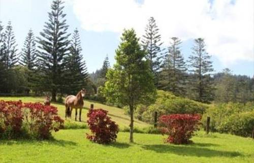 Northern Mariana Islands Booking.com