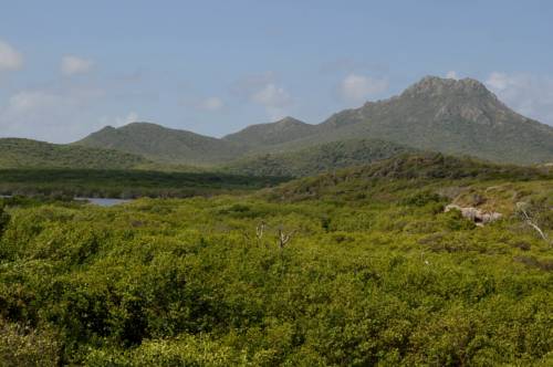 Curaçao Booking.com
