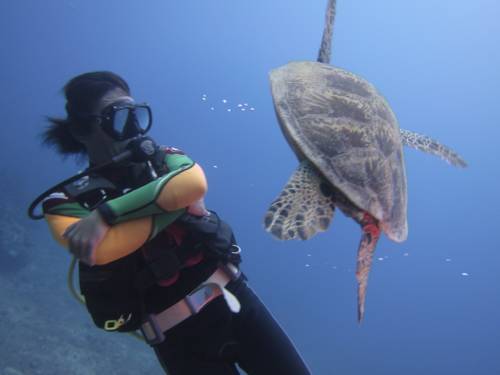 Northern Mariana Islands Booking.com