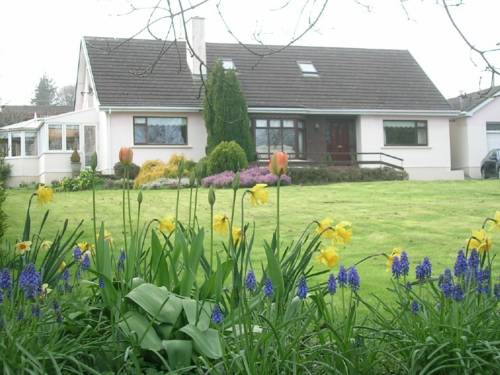 Ireland Booking.com