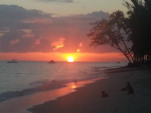 Dominican Republic Booking.com