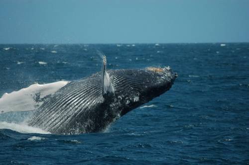 Cape Verde Booking.com