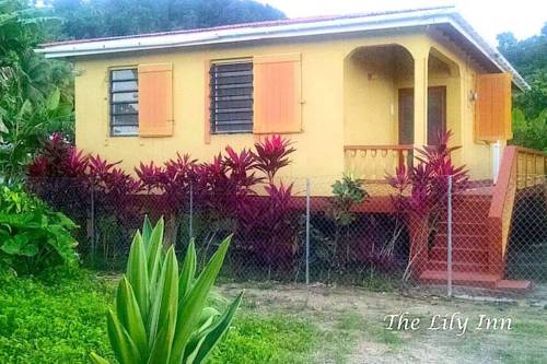 Dominica Booking.com